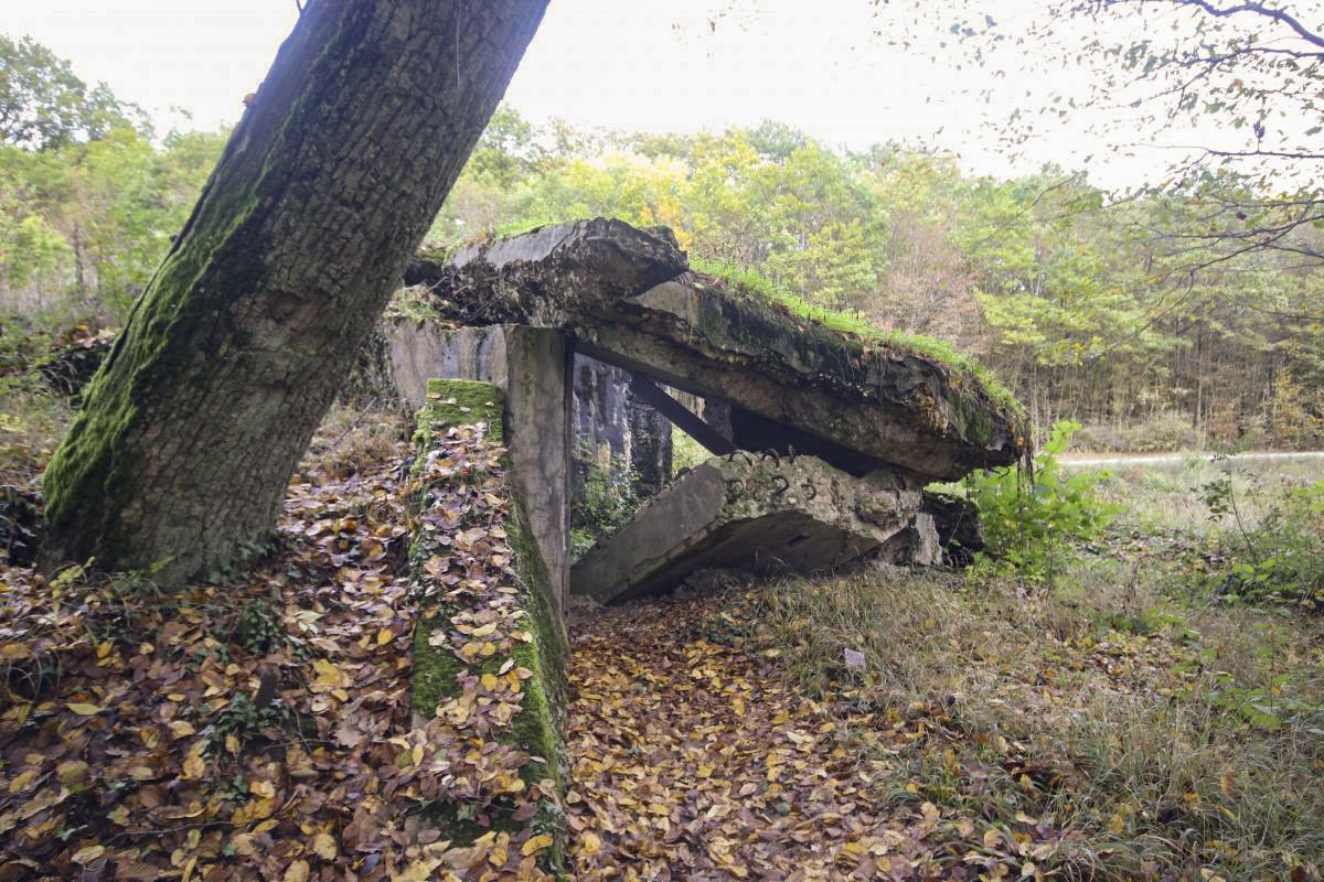 Ligne Maginot - MARIENTHAL 1 (AVANT POSTE) - (Blockhaus pour canon) - 