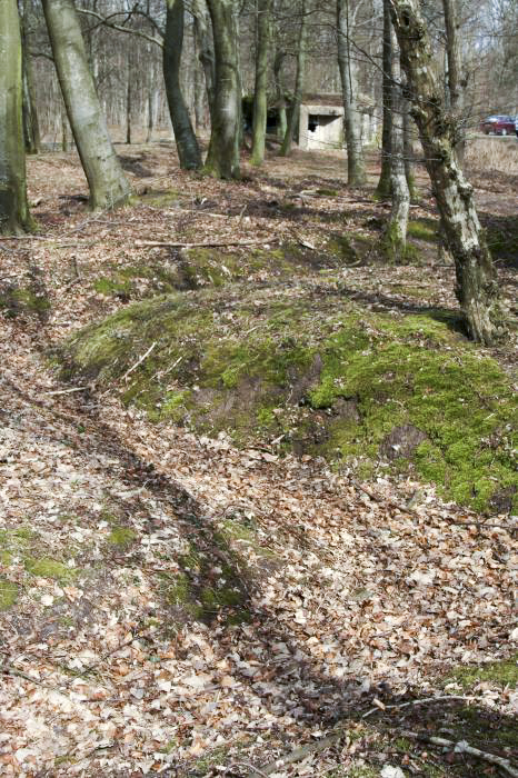Ligne Maginot - MARIENTHAL 2 (AVANT POSTE) - (Blockhaus pour arme infanterie) - Vue d'ensemble
Avec la tranchée reliant les deux blocs