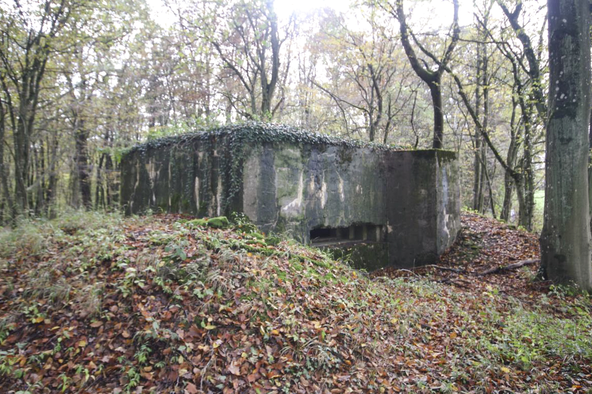 Ligne Maginot - MARIENTHAL 3 (AVANT POSTE) - (Blockhaus pour canon) -        