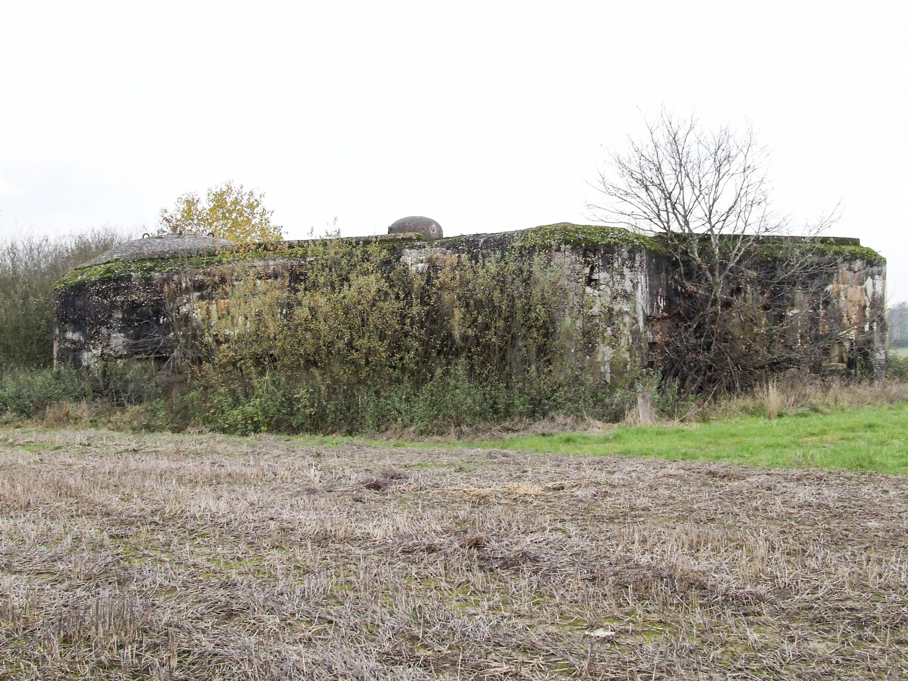 Ligne Maginot - MC07 - STG R - (Casemate d'infanterie - Double) - La façade de tir vers la gauche.