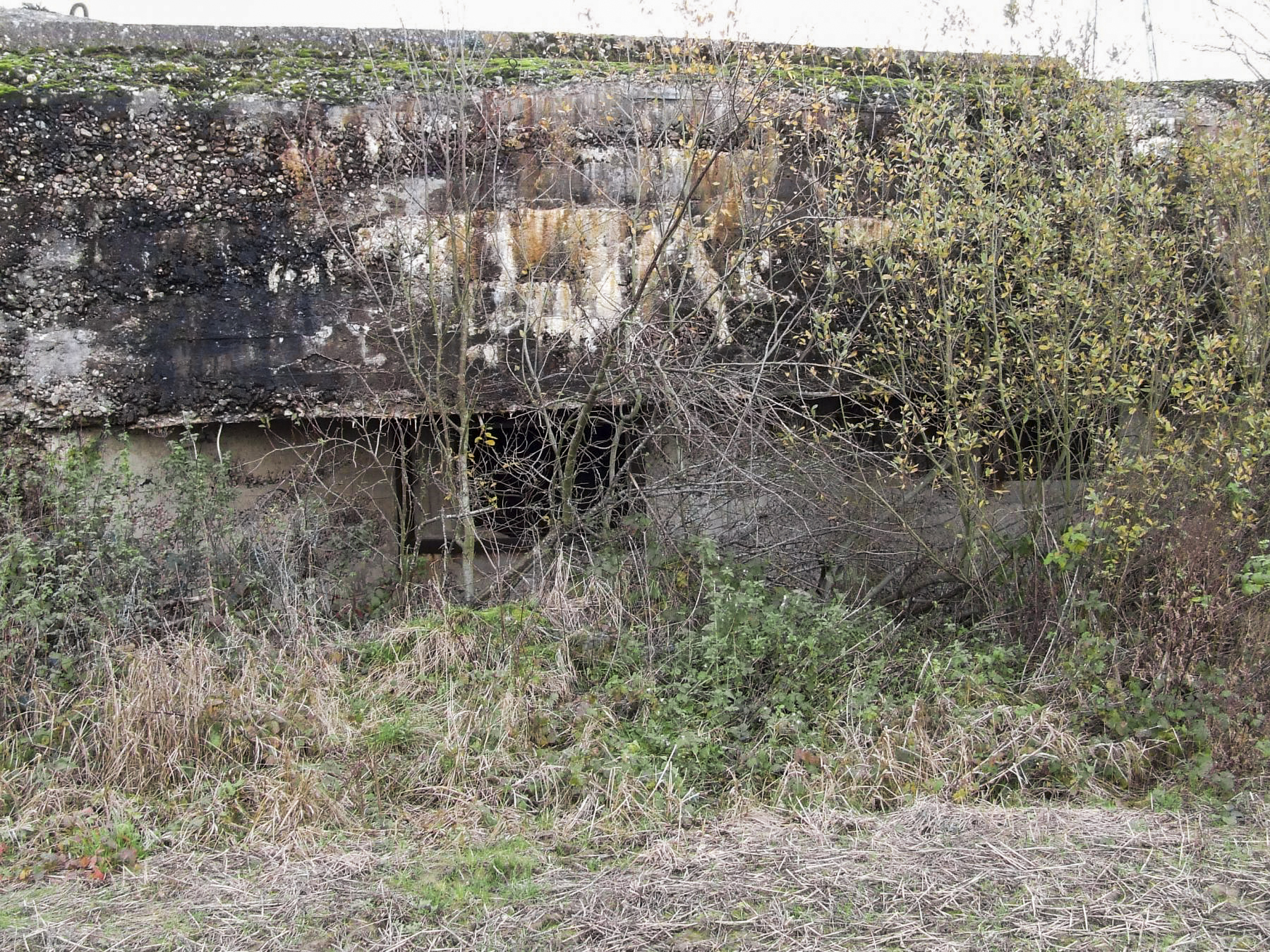 Ligne Maginot - MC07 - STG R - (Casemate d'infanterie - Double) - La façade de tir vers la gauche.