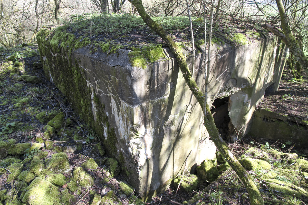 Ligne Maginot - MISTBERG 2 - (Blockhaus pour arme infanterie) - 