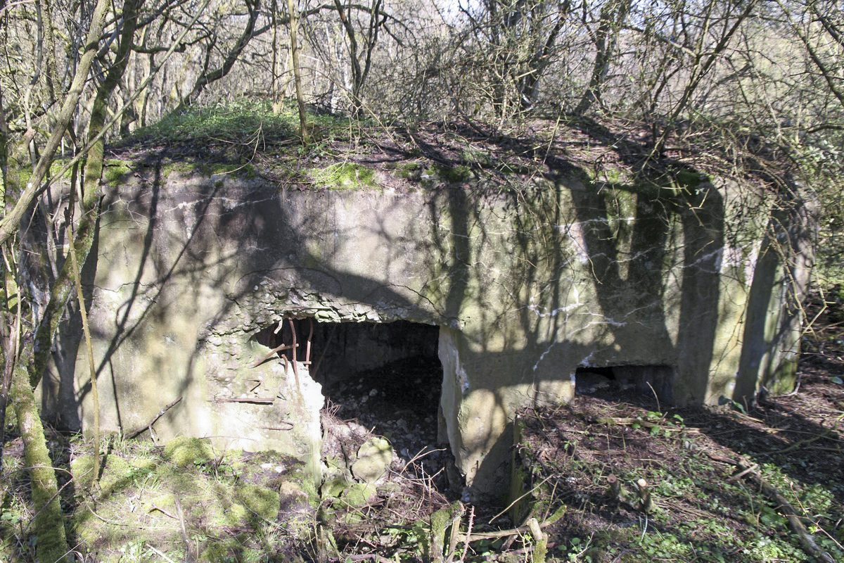 Ligne Maginot - MISTBERG 2 - (Blockhaus pour arme infanterie) - L'entrée
