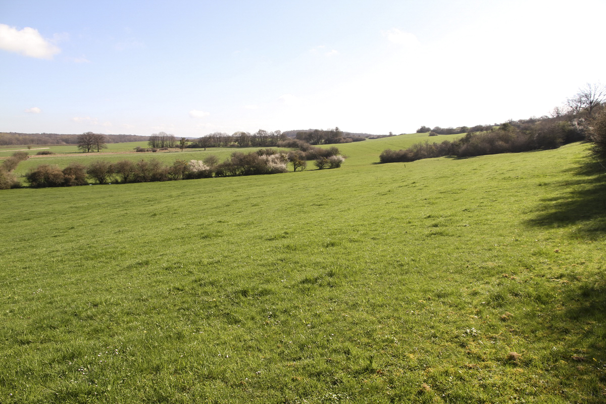 Ligne Maginot - MISTBERG 2 - (Blockhaus pour arme infanterie) - Plan feu - Alain Perouffe
