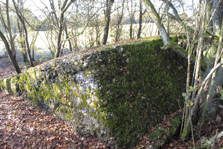 Ligne Maginot - MISTBERG 5 - (Blockhaus de type indéterminé) - 