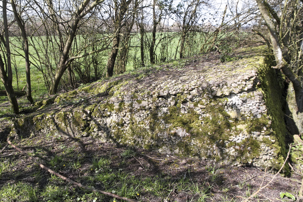 Ligne Maginot - MISTBERG 5 - (Blockhaus de type indéterminé) - 
