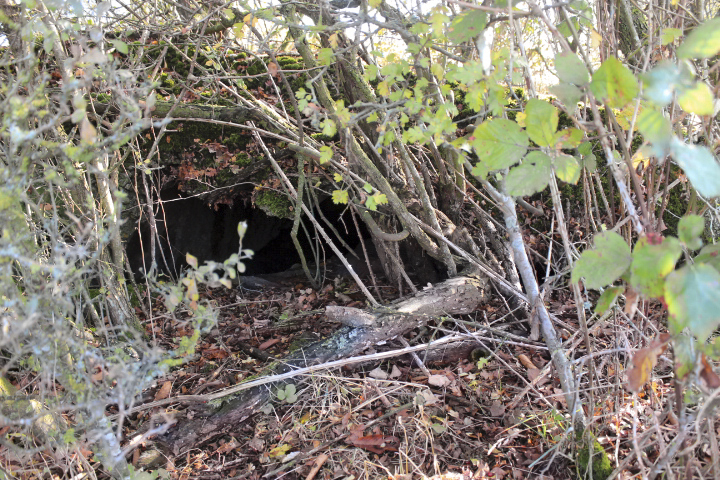 Ligne Maginot - MISTBERG 5 - (Blockhaus de type indéterminé) -  - jin jac