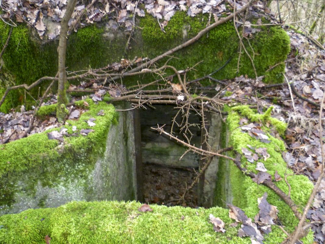 Ligne Maginot - NONNENWALD 5 - (Blockhaus de type indeterminé) -  Vue de l'entrée