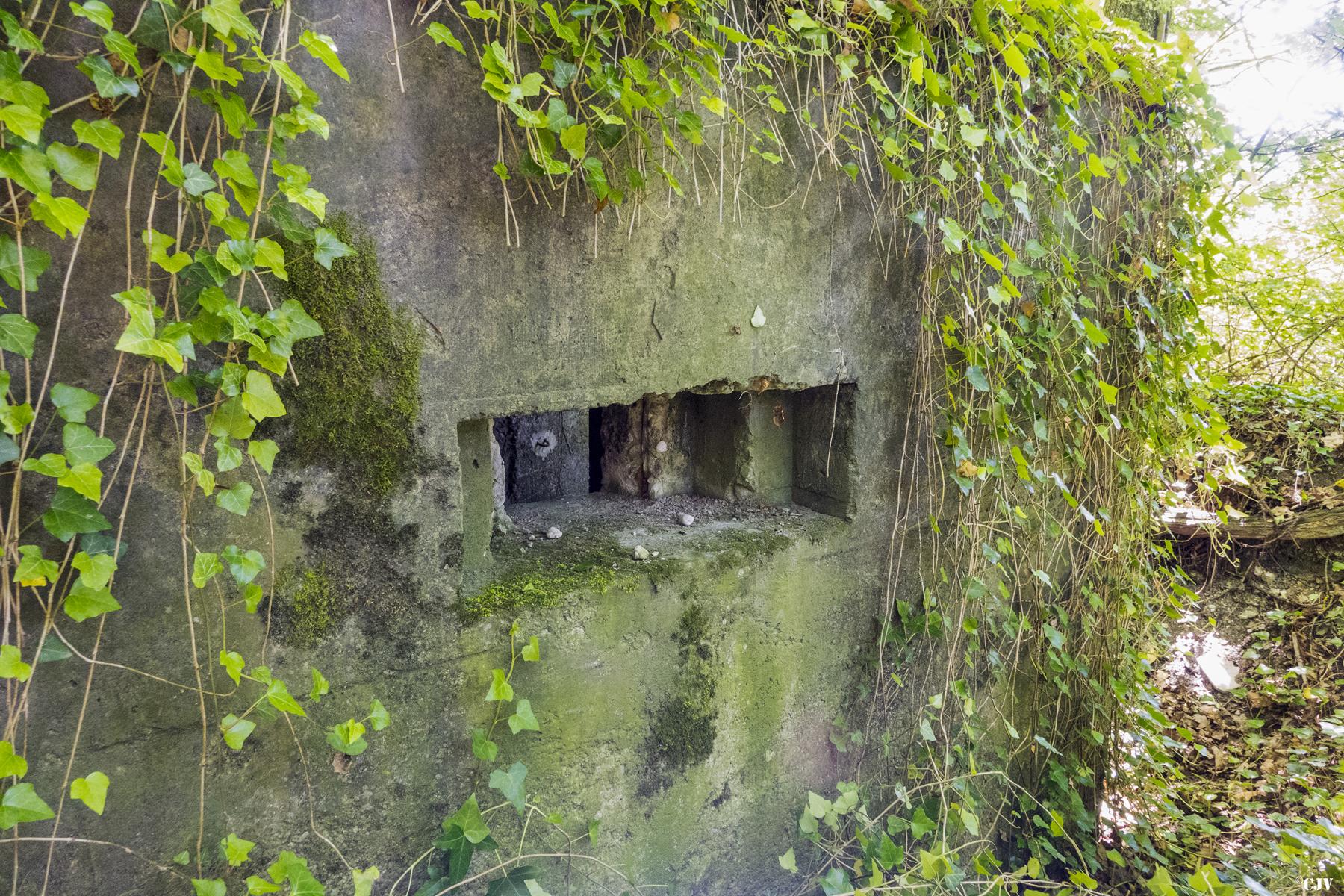 Ligne Maginot - UBERNIED 3 - (Blockhaus pour arme infanterie) -  - Lia VERMEULEN