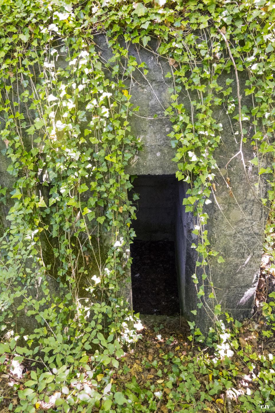 Ligne Maginot - UBERNIED 3 - (Blockhaus pour arme infanterie) - L'entrée - Lia VERMEULEN