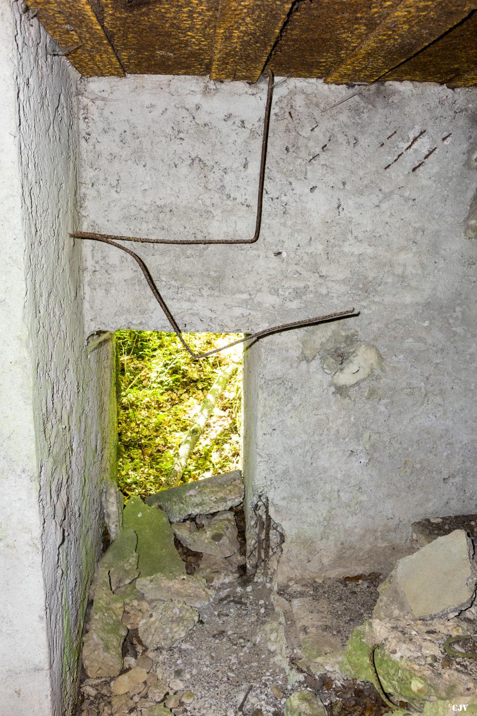 Ligne Maginot - UBERNIED 5 - (Blockhaus pour canon) - L'entrée du personnel - Lia VERMEULEN