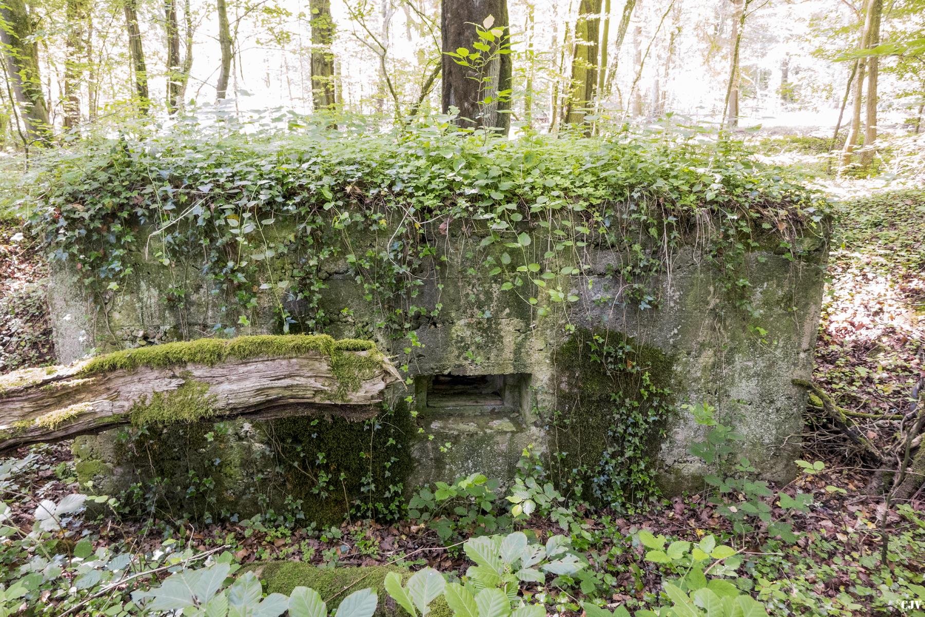 Ligne Maginot - UBERNIED 11 - (Blockhaus pour arme infanterie) - 