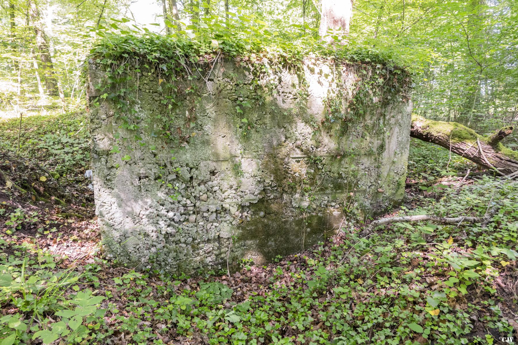 Ligne Maginot - UBERNIED 11 - (Blockhaus pour arme infanterie) -  - Lia VERMEULEN