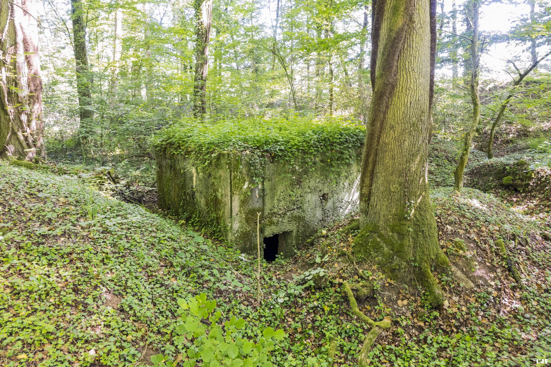 Ligne Maginot - UBERNIED 11 - (Blockhaus pour arme infanterie) - 