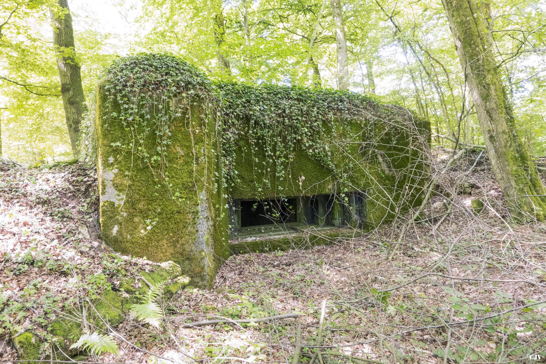 Ligne Maginot - UBERNIED 13 - (Blockhaus pour canon) -  - Lia VERMEULEN