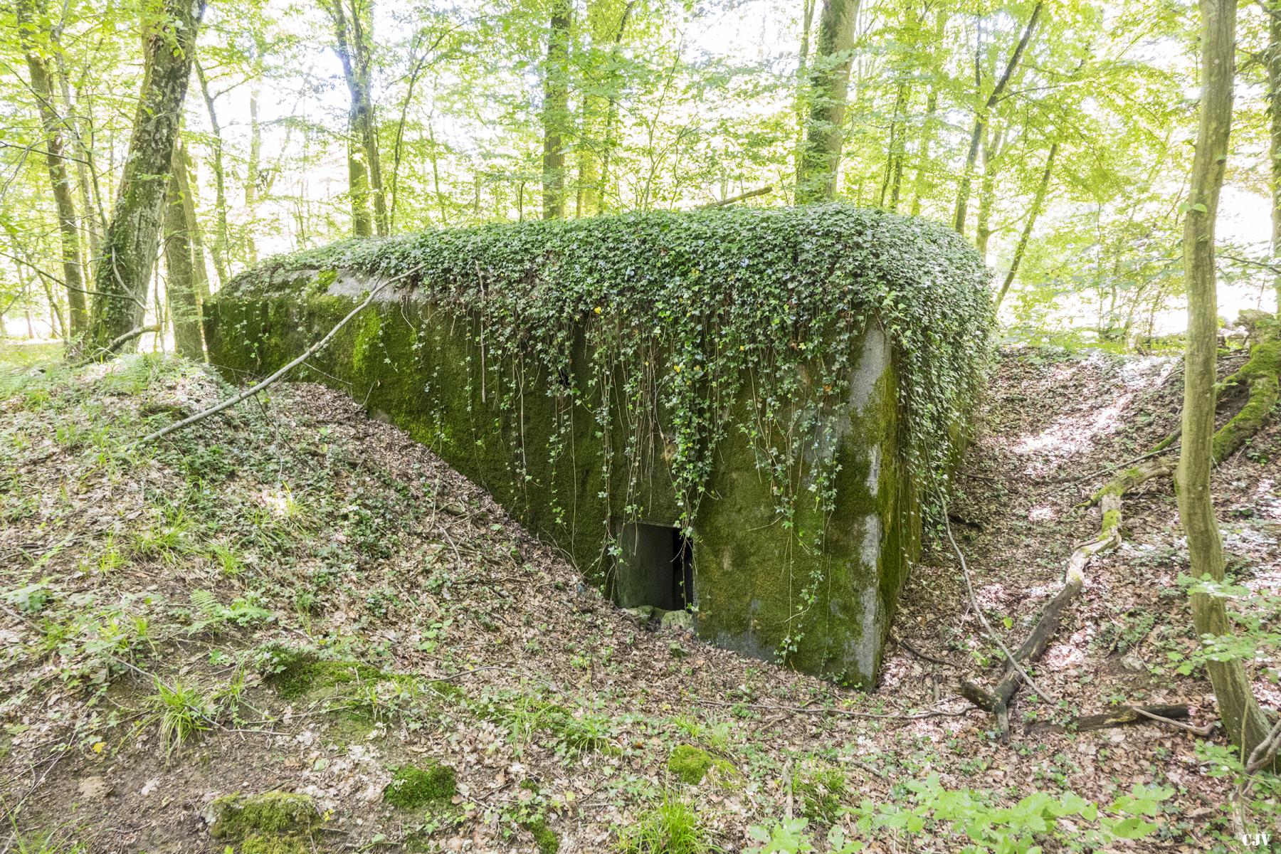 Ligne Maginot - UBERNIED 13 - (Blockhaus pour canon) - 