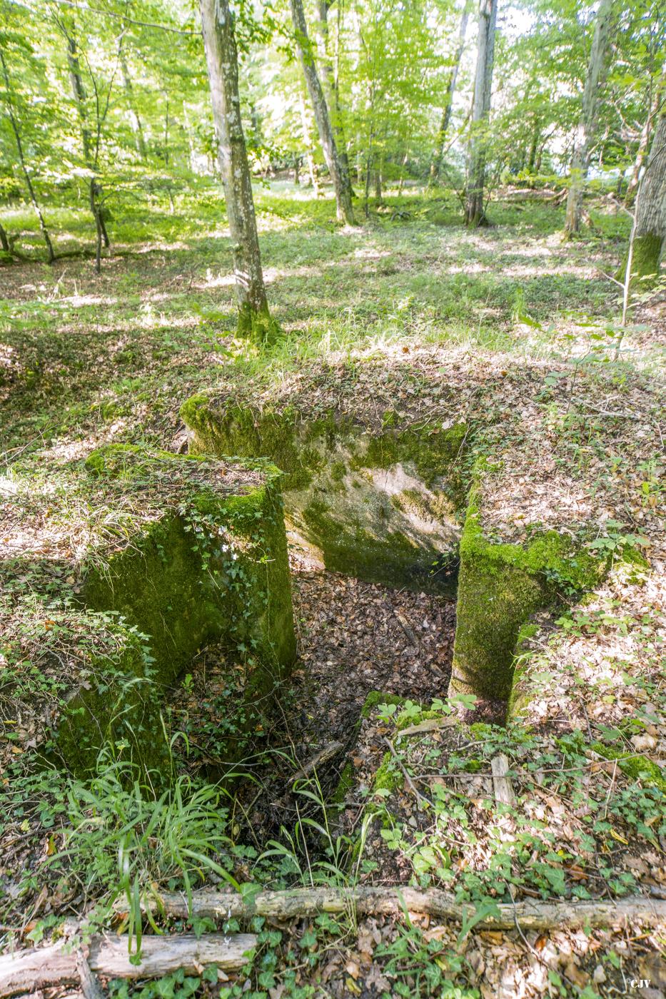 Ligne Maginot - VORDERSTERWALD 1 - (Cuve pour arme d'infanterie) - 