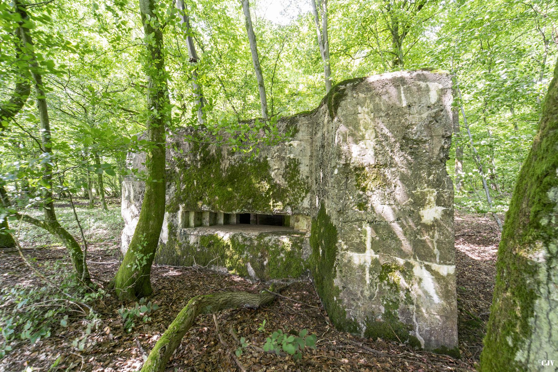 Ligne Maginot - VORDERSTERWALD 9 - (Blockhaus pour canon) - 
