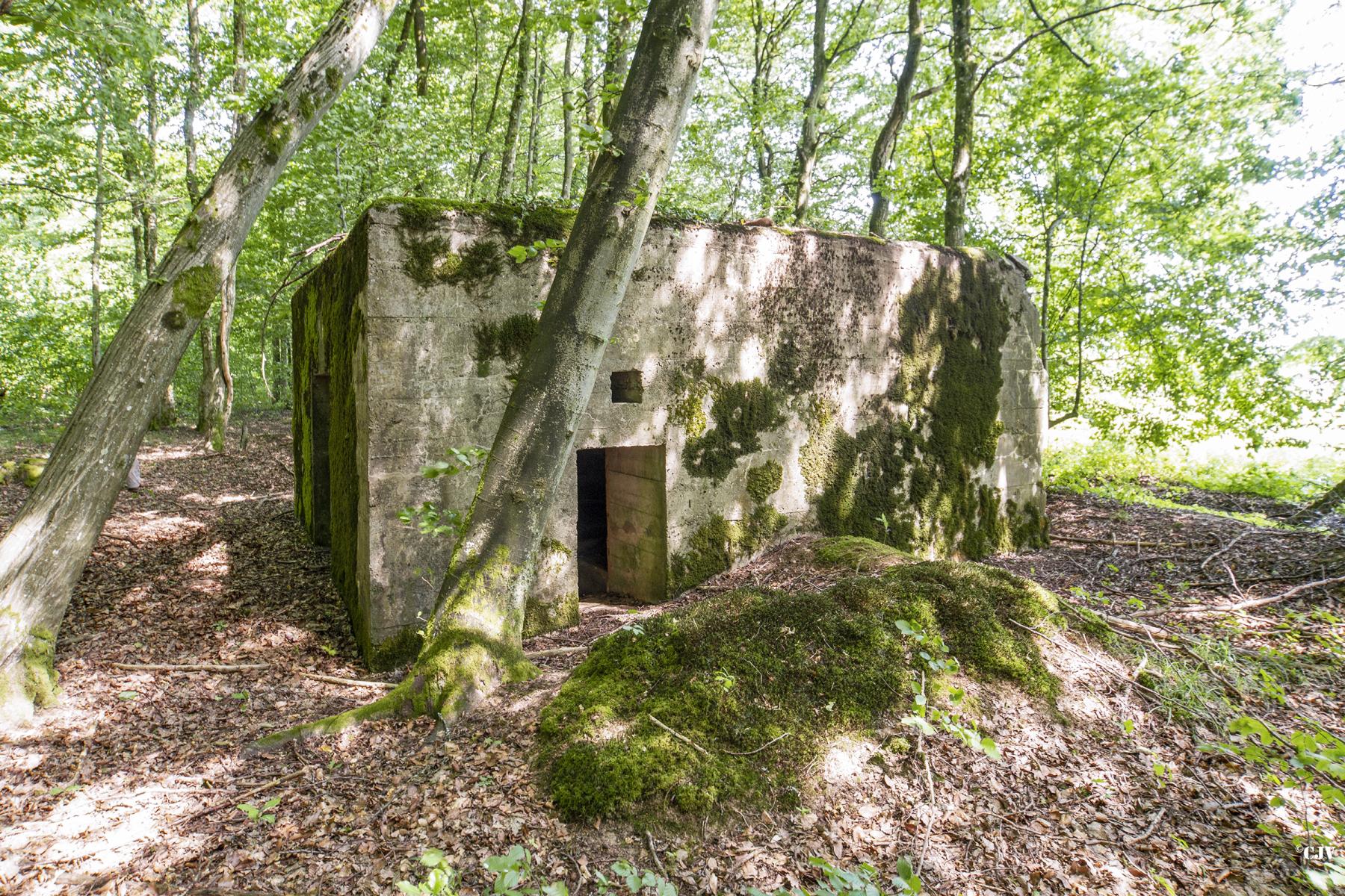 Ligne Maginot - VORDERSTERWALD 9 - (Blockhaus pour canon) - L'entrée du personnel - Lia VERMEULEN