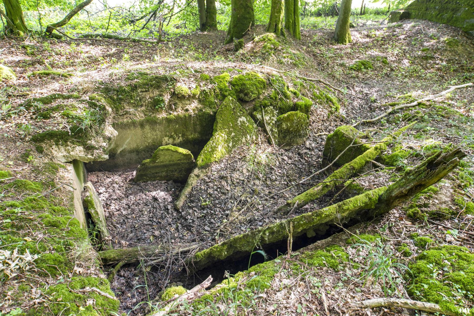 Ligne Maginot - VORDERSTERWALD 6 - (Abri) - 