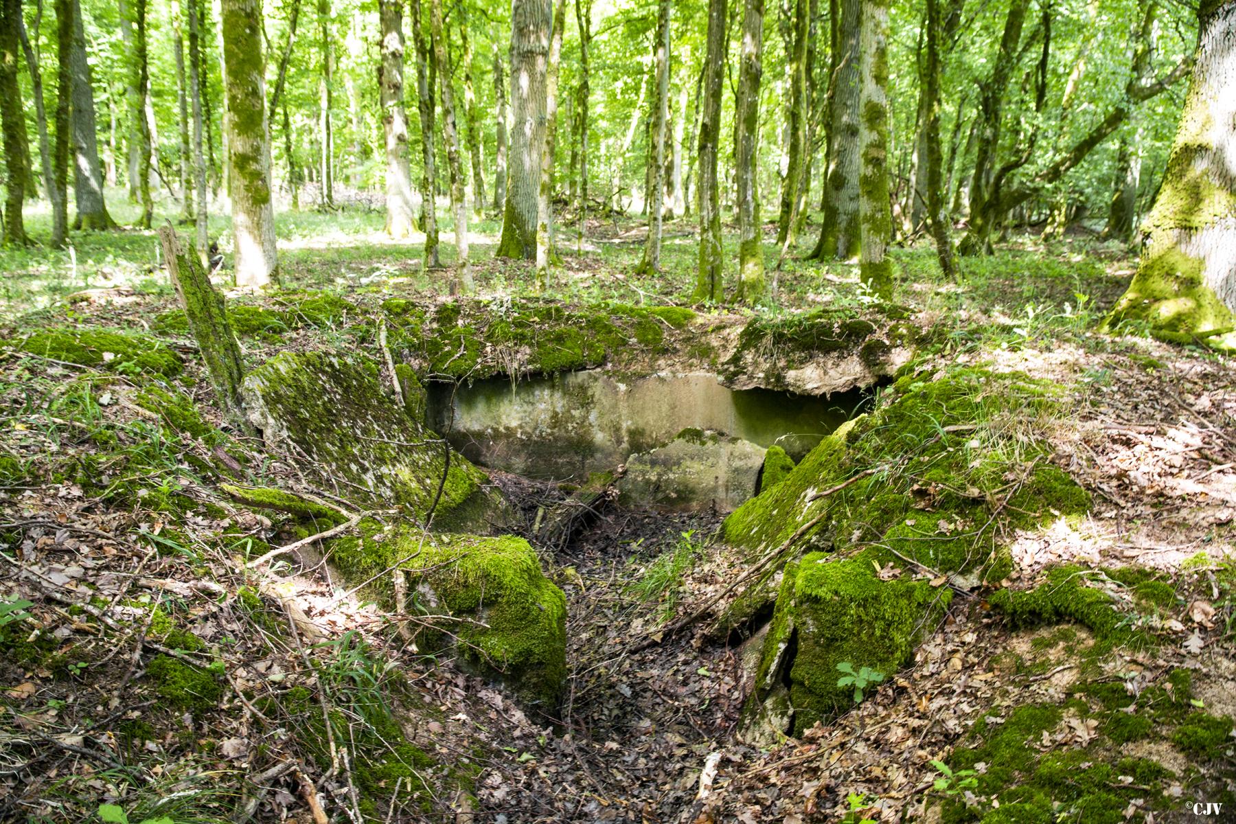Ligne Maginot - VORDERSTERWALD 6 - (Abri) - 