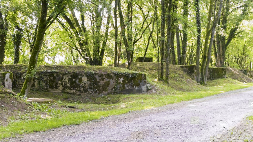 Ligne Maginot - BUCHWALD - (Position d'artillerie préparée) - 