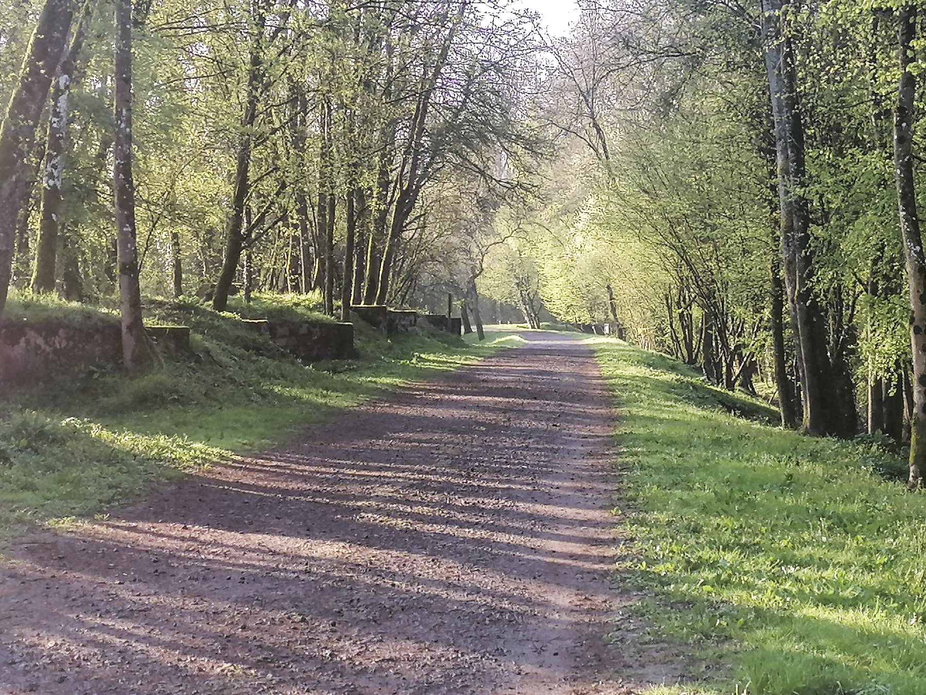 Ligne Maginot - BUCHWALD (I/23° RARF) - (Position d'artillerie préparée) - Les cuves bétonnées vue de l'ouest - DISS D