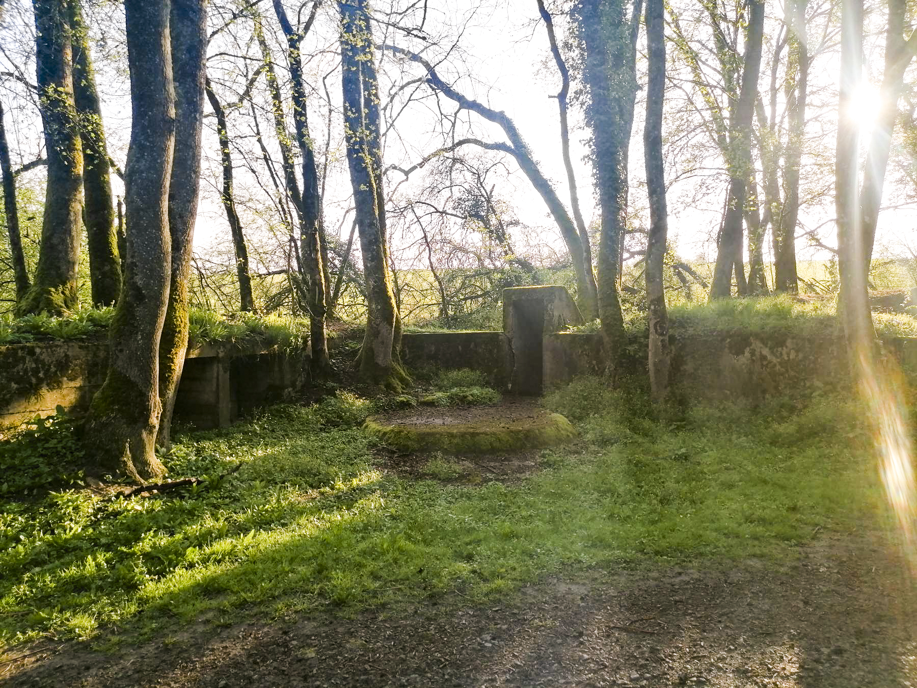 Ligne Maginot - BUCHWALD (I/23° RARF) - (Position d'artillerie préparée) - Cuve bétonnée 1 - DISS D