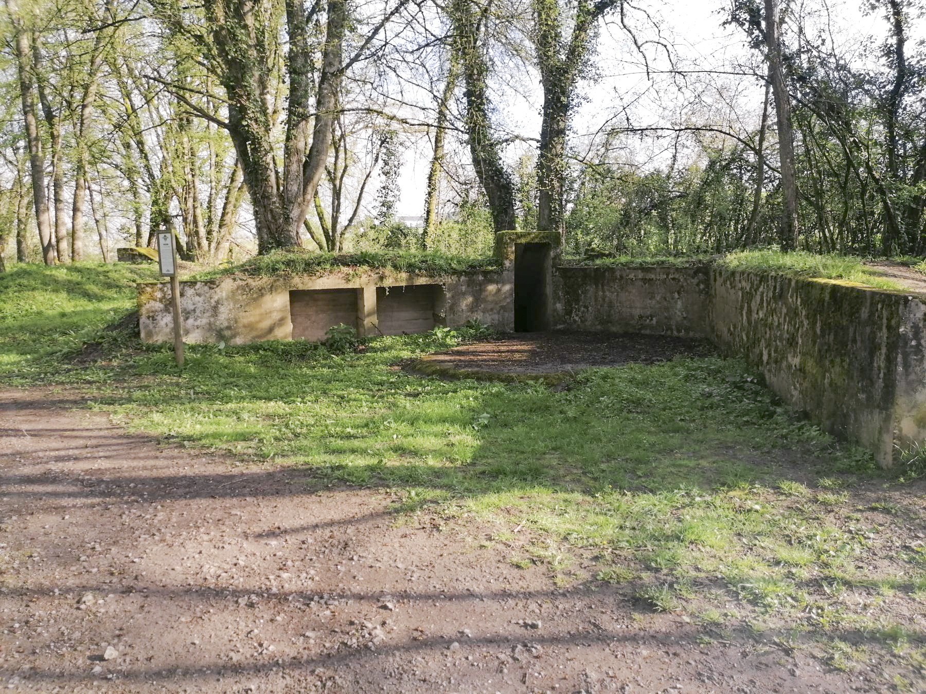 Ligne Maginot - BUCHWALD (I/23° RARF) - (Position d'artillerie préparée) - Cuve bétonnée 4 - DISS D