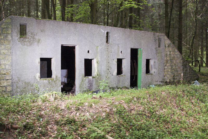 Ligne Maginot - FOND LOLIETTE - (PC) - 