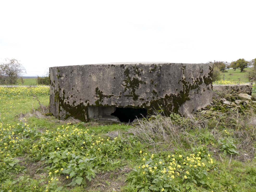 Ligne Maginot - DRIESCHBERG 1 - (Blockhaus pour arme infanterie) -  - ELLENA - CUNY