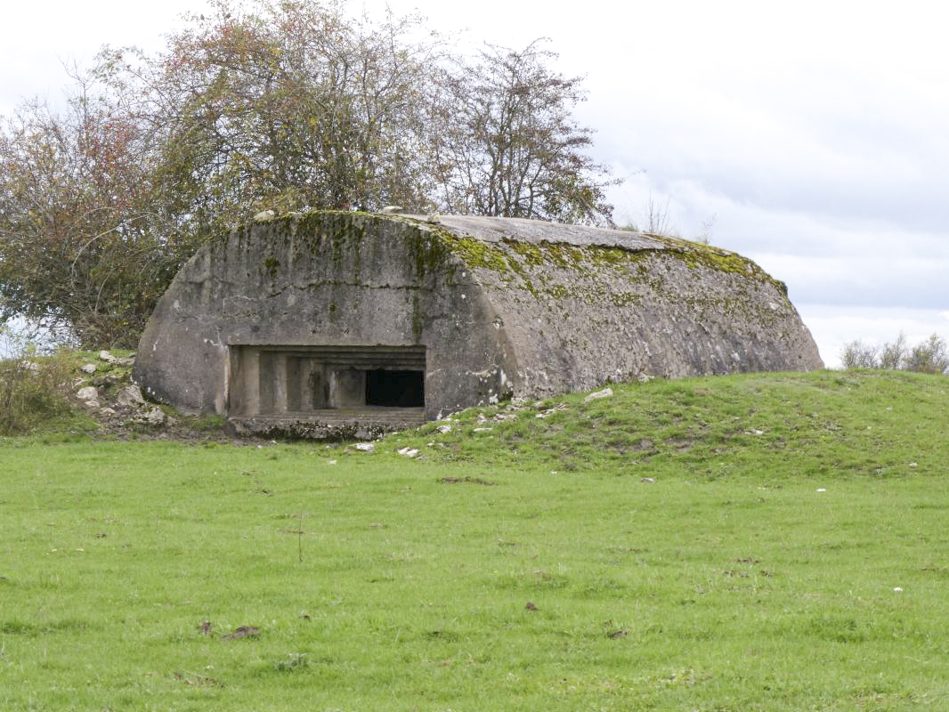 Ligne Maginot - DRIESCHBERG 2 - (Blockhaus pour canon) -  - ELLENA - CUNY