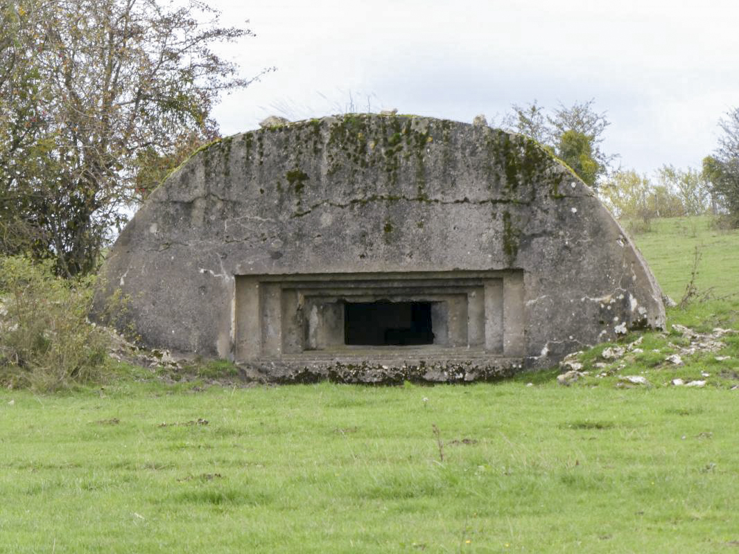 Ligne Maginot - DRIESCHBERG 2 - (Blockhaus pour canon) -  - ELLENA - CUNY