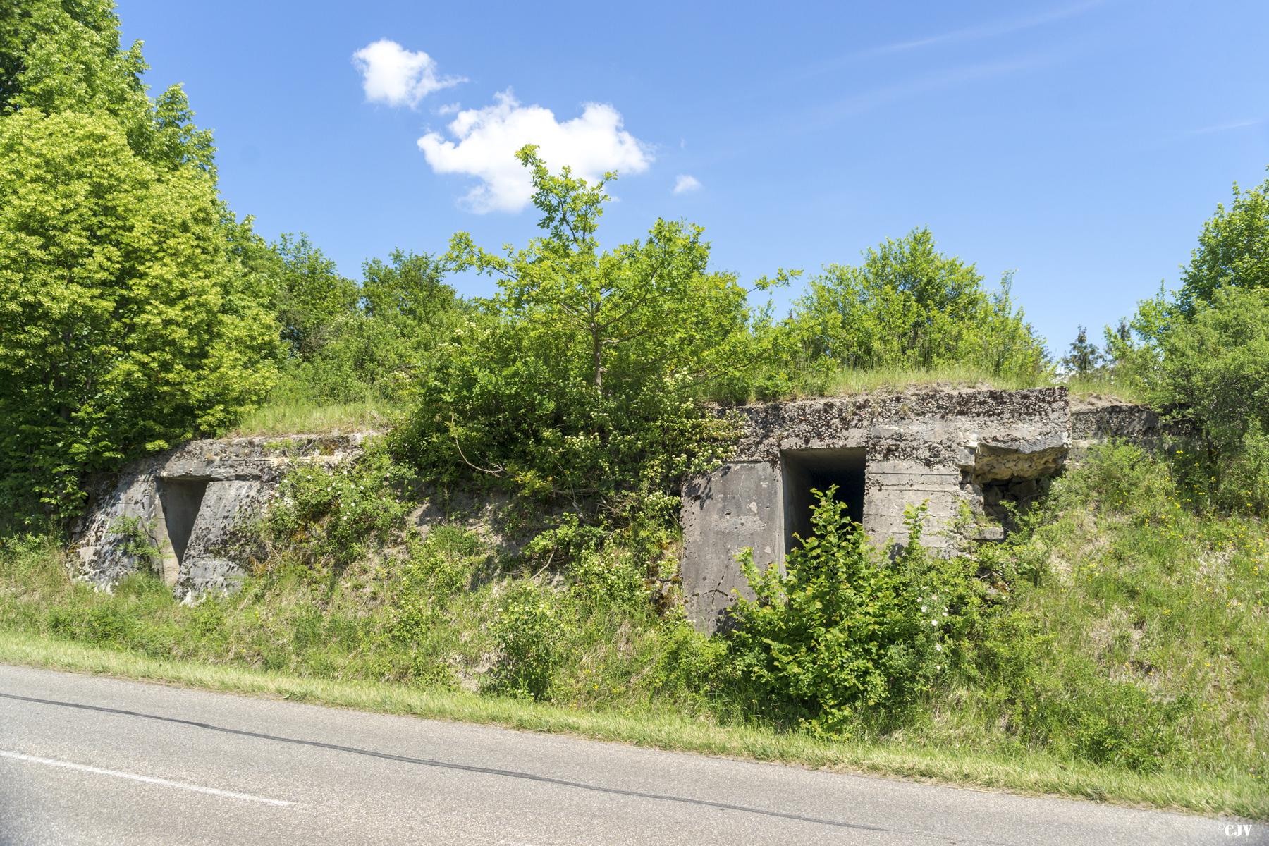Ligne Maginot - LEYVILLER - (Abri) -  - Lia VERMEULEN
