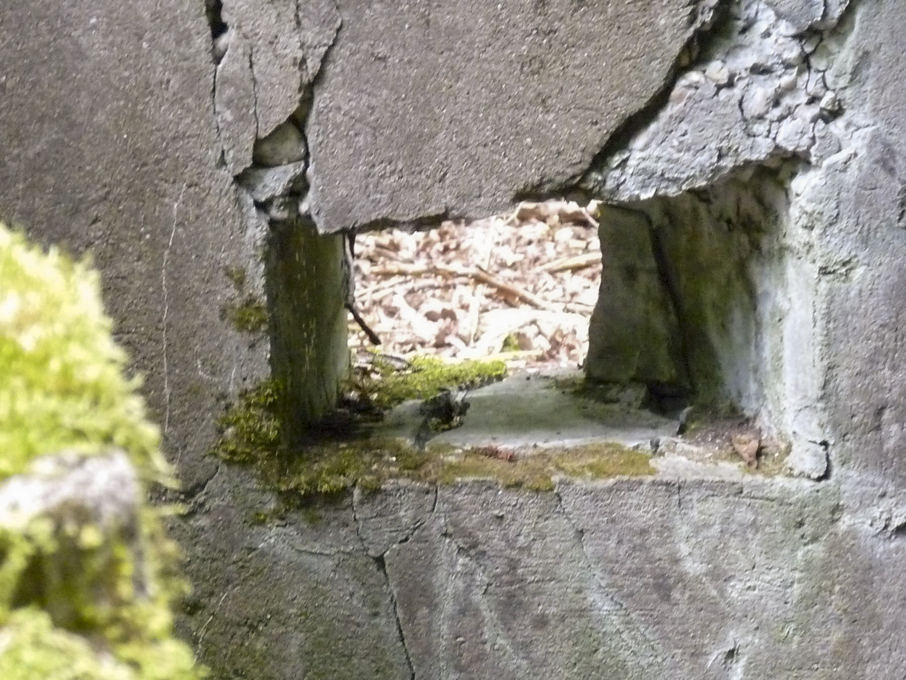 Ligne Maginot - M1B - TAUBRUNNENWALD - (Blockhaus pour arme infanterie) - 