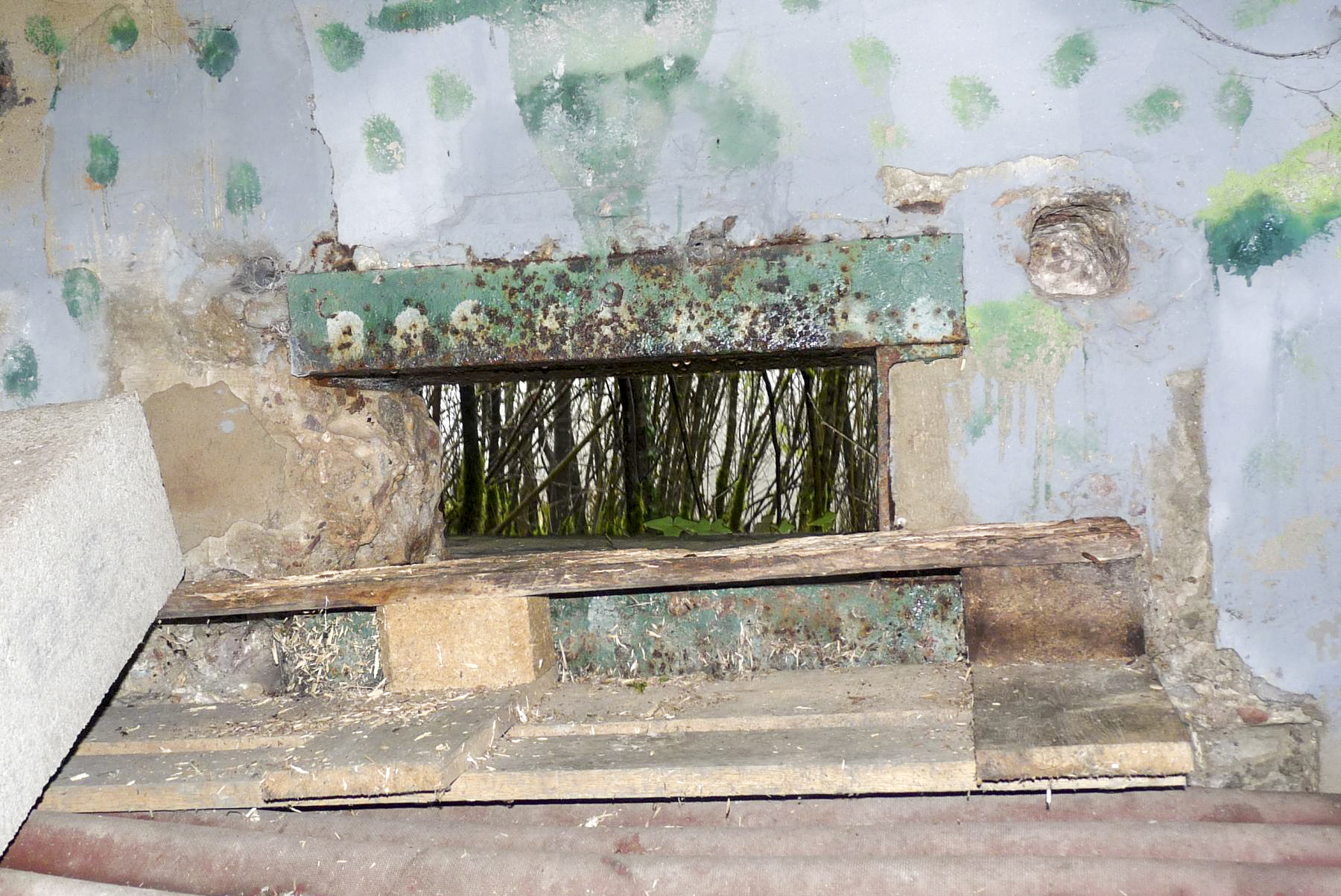 Ligne Maginot - M3B - CAPPEL 2 - (Blockhaus pour arme infanterie) -  - Sylvie Laure LAMBERT