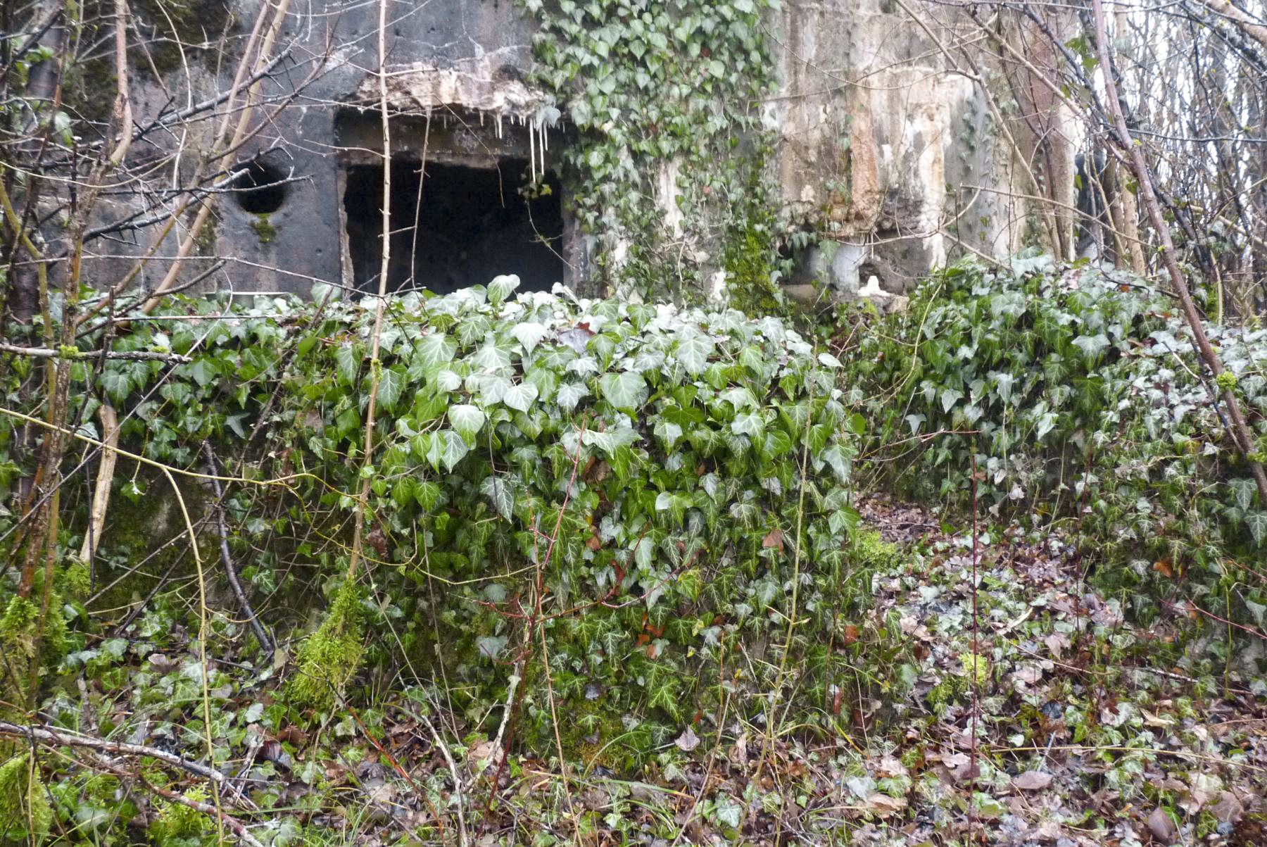 Ligne Maginot - M3B - CAPPEL 2 - (Blockhaus pour arme infanterie) -  - Sylvie Laure LAMBERT