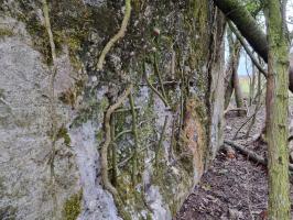 Ligne Maginot - REDELBORN - (Blockhaus pour arme infanterie) - Impacts sur le mur latéral gauche du blockhaus (en se plaçant dans sa direction de tir)