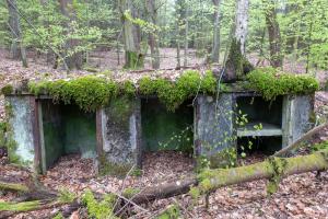 Ligne Maginot - HOCHWALD C1 - (Casemate d'infanterie - Simple) - Niches de stockage extérieur