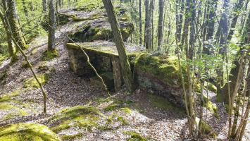 Ligne Maginot - HASPELSCHIEDT 7 (AVANT POSTE) - (Blockhaus pour arme infanterie) - 