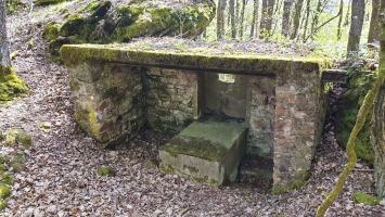 Ligne Maginot - HASPELSCHIEDT 7 (AVANT POSTE) - (Blockhaus pour arme infanterie) - 