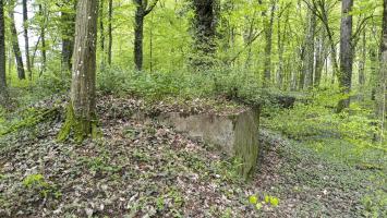 Ligne Maginot - CB119-C - OBERHEIDE 01 - (Blockhaus pour arme infanterie) - Le Cb118-C est tout proche