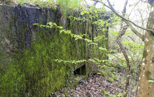 Ligne Maginot - CB204 - LONKICH 01 - (Blockhaus pour arme infanterie) - La façade
