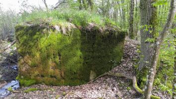 Ligne Maginot - CB204 - LONKICH 01 - (Blockhaus pour arme infanterie) - La face arrière