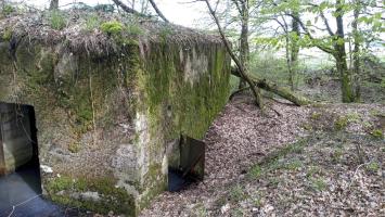 Ligne Maginot - CB205 - LONKICH 02 - (Blockhaus pour canon) - Les entrées
