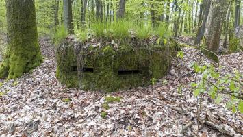 Ligne Maginot - CB203BIS - OBERHEIDE 06 - (Observatoire d'artillerie) - Les fentes d'observation