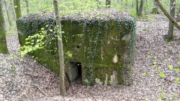Ligne Maginot - CB203 - OBERHEIDE 05 - (Blockhaus pour arme infanterie) - L'entrée