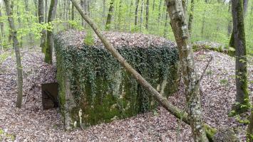 Ligne Maginot - CB203 - OBERHEIDE 05 - (Blockhaus pour arme infanterie) - La face arrière