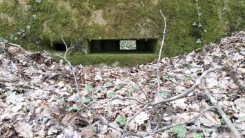 Ligne Maginot - OBERHEIDE - 116C - (Blockhaus pour arme infanterie) - Les deux ouvertures