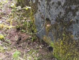 Ligne Maginot - BB304 - (Blockhaus pour arme infanterie) - La porte est à peine visible